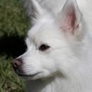 코지동물의료센터 서구청점 이미지