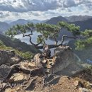 대아주차장 이미지