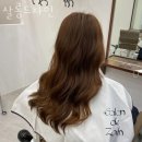 배곧동미용실 살롱드자인 가격 위치 영업시간