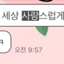 사랑스럽댕 네이버블로그