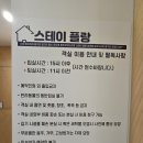 스테이 플랑 이미지