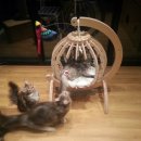 메인쿤 하우스 이미지