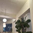 일월일일 - 서구 성산길 31 | 🧡 분위기 좋은 혜화 일월일일 카페 후기 🍓 딸기라떼 & 찰떡아이스크림