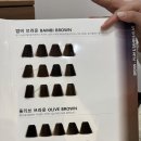 올림픽공원미용실 “차홍룸 올림픽공원점” 김은지 디자이너님 밤비브라운 염색 후기