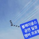 옥성초등학교 | 블랙이글스 에어쇼 일정 및 조종사 멤버 소개
