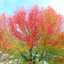 어느가을 오후 이미지