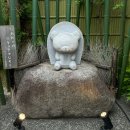 (주)성일카 | 2박 3일 일본인 체험기 (오사카편)