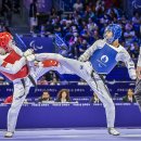 정상태권도 이미지