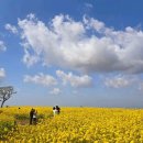 축복 이미지