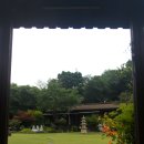 커피꽃향기 이미지