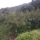 지평농장 이미지