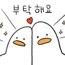 항아리묵은지김치찌개