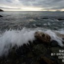 진산리해수욕장 네이버블로그