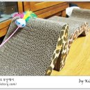 행복한 냥이네 이미지