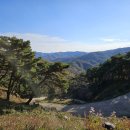 구절암 | 손품발품) 충남 공주 구절초 명소 구룡사/구절암 방문 후기