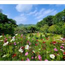 자작나무마을 이미지