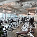 형지빌딩 | 괴정동헬스장 사하구 부산 헬스 PT pt 피티 GO피트니스&amp;대기구필라테스 괴정점 가격 영업시간 소개