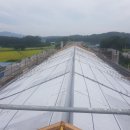 여주-0906 이미지