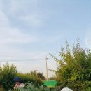 범골농장 이미지