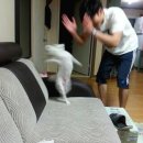 STAY1METER | [공지] [ 훈담스테이 ] 제주도 한경면 독채 서쪽 커플 감성 숙소 후기