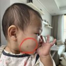 오체안성형외과의원 이미지