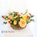 비인풀블룸 이미지