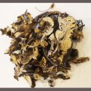 미소로한의원 이미지