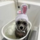 반자주 장산점 이미지