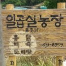 마비정농장 이미지