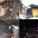 이미숙농장 이미지