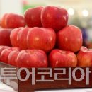 장수유기질 이미지