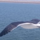 S펜션민박 이미지