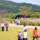 반구정습지 이미지