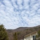 히든 포레 이미지