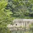 국민여가 캠핌장 이미지