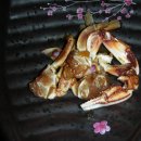 식당 고미 이미지