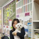 효원동물병원 이미지