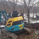 덕산면015 Daum카페