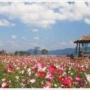 컴퓨터기초B 이미지