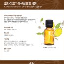 라이프에센셜 이미지