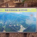 양촌 유아숲체험원 이미지