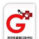 세븐일레븐 광양중마점 | 광양동물메디컬센터) 까미의 슬개골 탈구 수술 후기 (동물병원 / 광양)