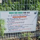 엠와이힐링캠핑장 이미지