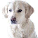 수호목장 이미지