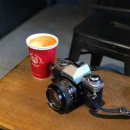 경식목장 | 안녕 2019.