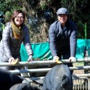 자연목장 이미지