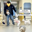멍스럽 네이버블로그