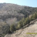 안심산 둘레길 이미지