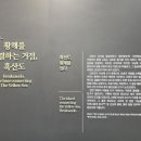 우이도 패총 네이버블로그