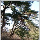 아랫도리 이미지